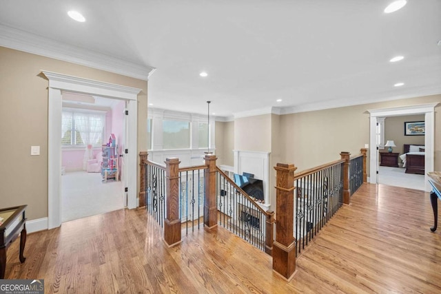 bedroom with carpet floors, crown molding, ceiling fan, and a raised ceiling