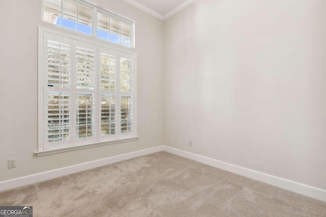 carpeted spare room with crown molding