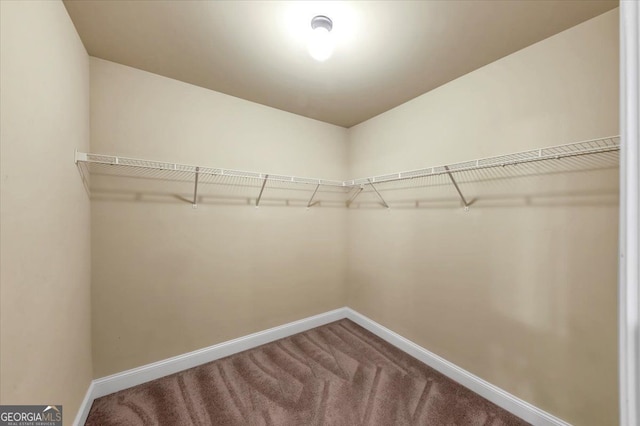 spacious closet featuring carpet floors