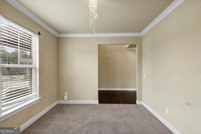 empty room with carpet flooring and ornamental molding