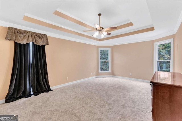 carpeted spare room with ceiling fan, crown molding, and a tray ceiling