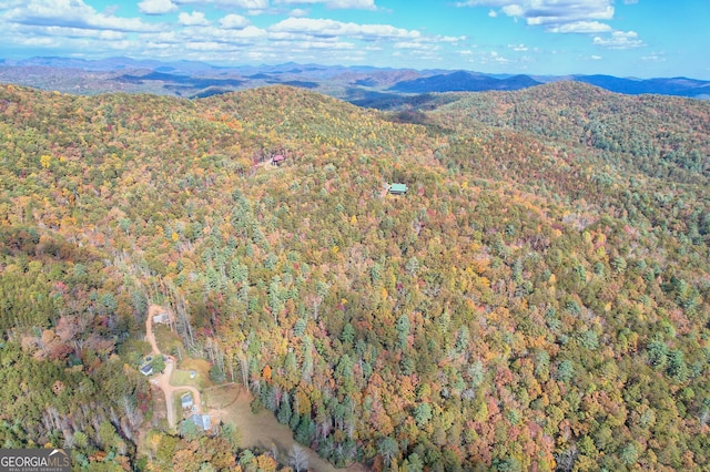 birds eye view of property featuring a mountain view