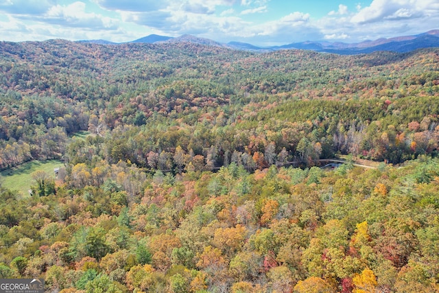 property view of mountains