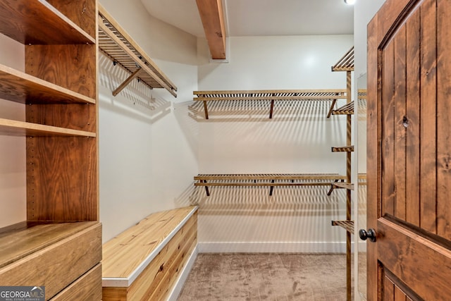 spacious closet with light colored carpet