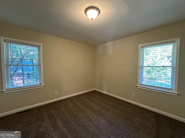 empty room featuring a wealth of natural light and carpet flooring