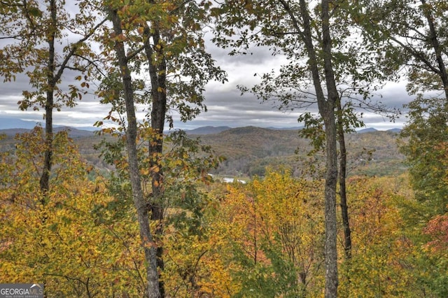 view of mountain feature