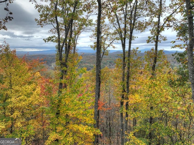 view of local wilderness featuring a mountain view