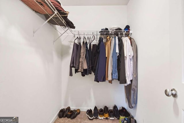 walk in closet with carpet flooring