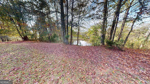 view of yard featuring a water view