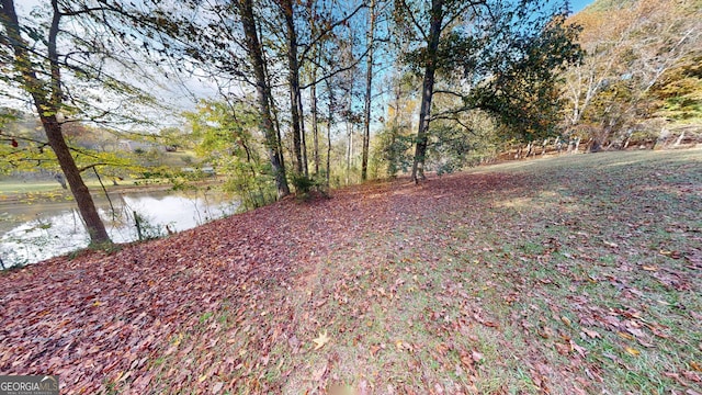 view of yard featuring a water view