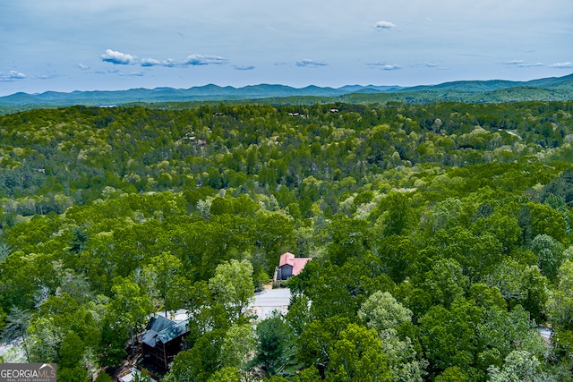 birds eye view of property featuring a mountain view