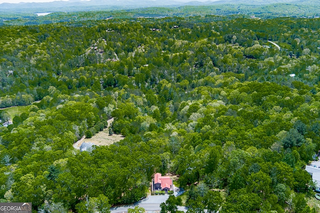 drone / aerial view featuring a mountain view