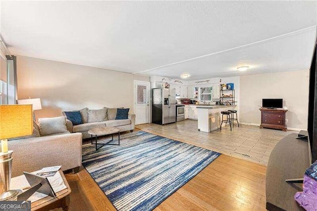 living room featuring light wood-type flooring