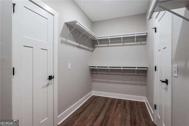 spacious closet featuring dark hardwood / wood-style flooring