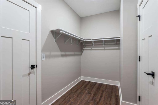 walk in closet featuring dark hardwood / wood-style flooring