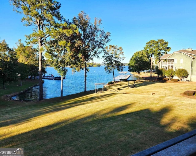 view of yard with a water view and a boat dock