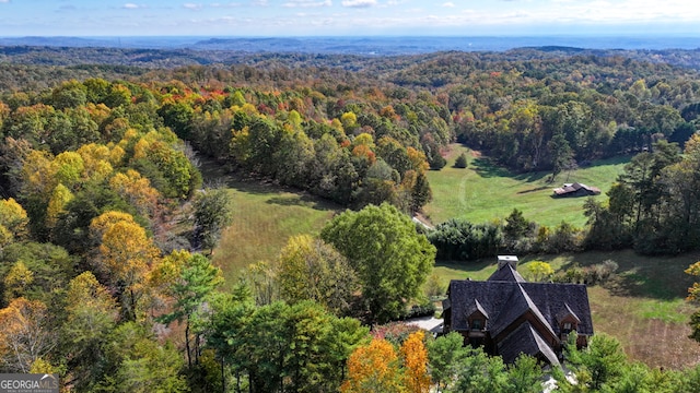 bird's eye view