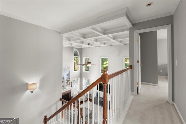 5 Arabian Ave, Alpharetta, GA 30004 - hallway with baseboards, beam ceiling, carpet, and coffered ceiling