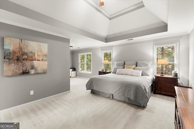 5 Arabian Ave, Alpharetta, GA 30004 - bedroom with a tray ceiling, baseboards, ornamental molding, visible vents, and light colored carpet