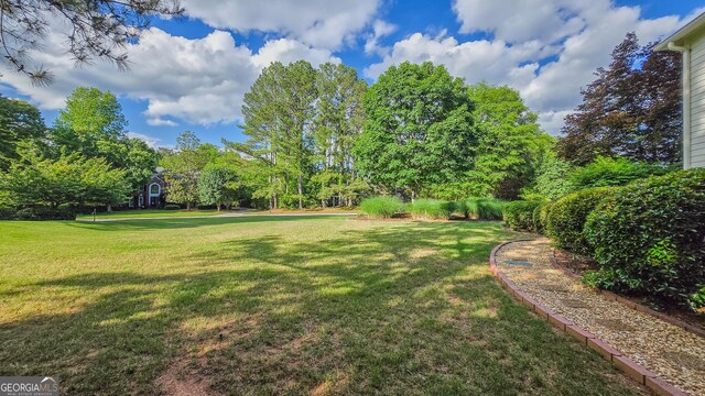 5 Arabian Ave, Alpharetta, GA 30004 - view of yard