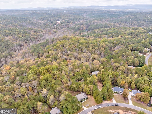 bird's eye view