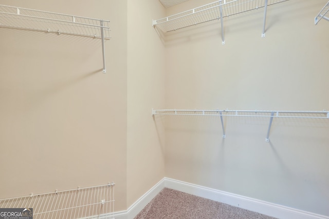 walk in closet with carpet flooring