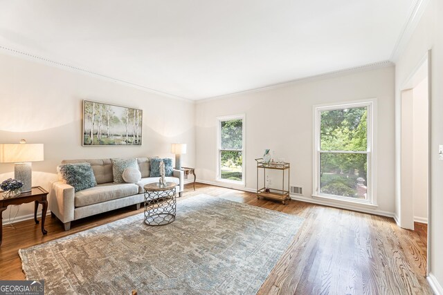 living room with wood-type flooring, crown molding, and a healthy amount of sunlight