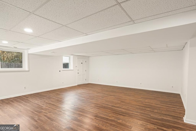 basement with a drop ceiling and dark hardwood / wood-style flooring