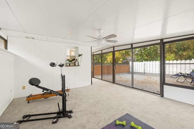 workout area with carpet and ceiling fan