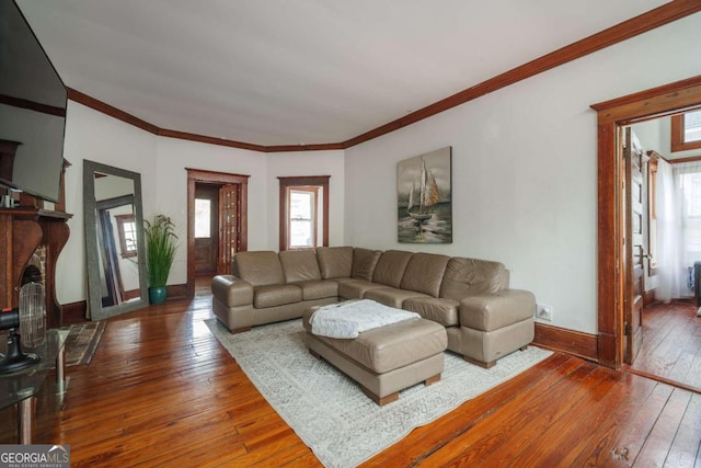 living room featuring wood-type flooring, plenty of natural light, and ornamental molding