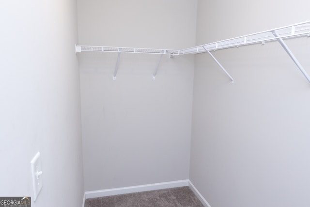 spacious closet with carpet floors