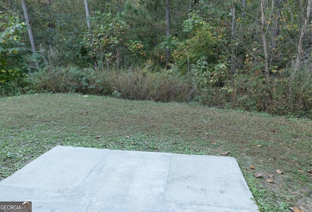 view of yard featuring a patio