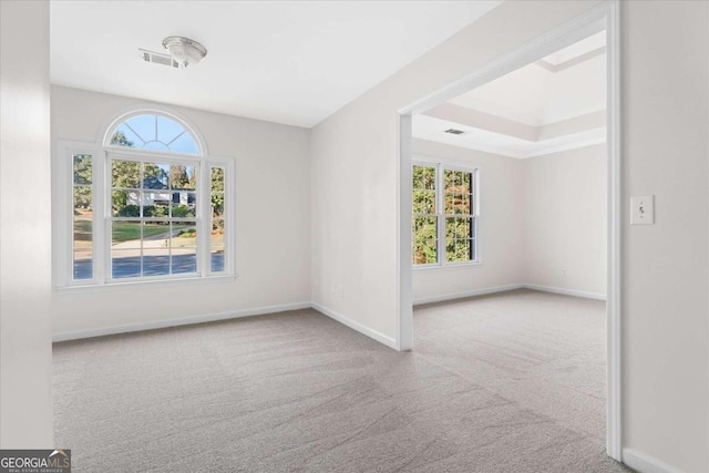 spare room featuring light carpet and a healthy amount of sunlight