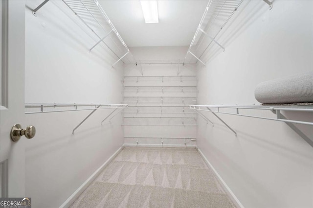 spacious closet featuring light colored carpet