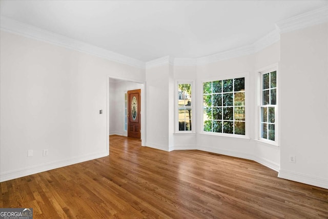 spare room featuring dark hardwood / wood-style floors and ornamental molding