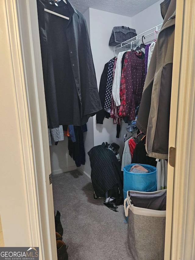 walk in closet with carpet flooring