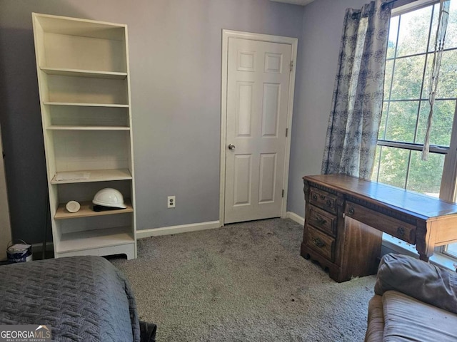 bedroom with carpet flooring