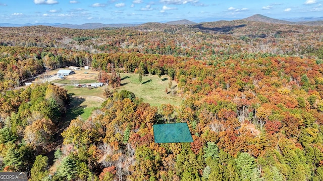 drone / aerial view with a mountain view