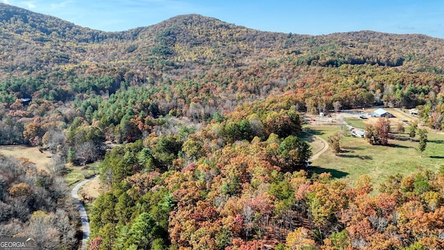 drone / aerial view featuring a mountain view