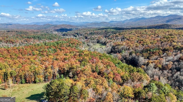 view of mountain feature