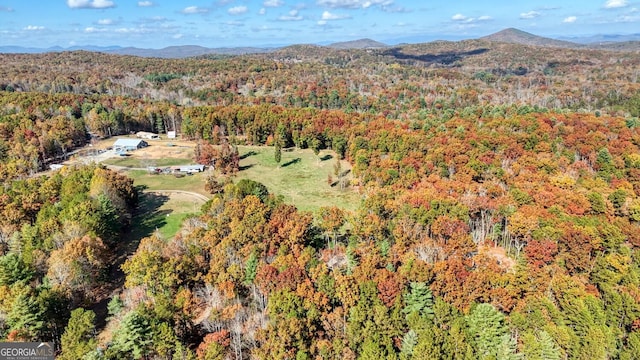 aerial view with a mountain view