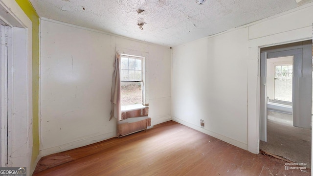 empty room featuring hardwood / wood-style floors, plenty of natural light, and a textured ceiling