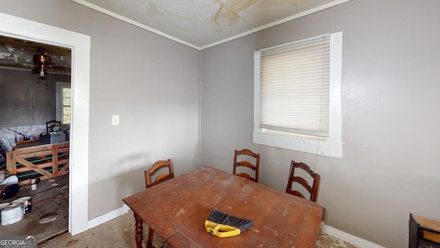 carpeted dining space featuring ornamental molding