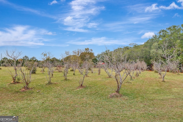 view of yard with a rural view