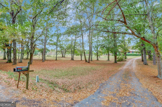 view of surrounding community