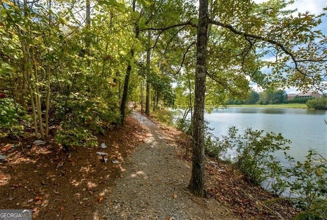 property view of water