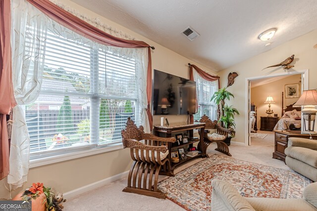 carpeted living room with a wealth of natural light