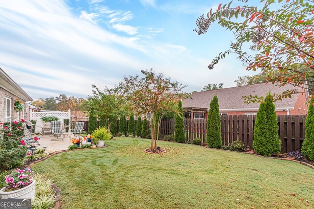 view of yard featuring a patio area