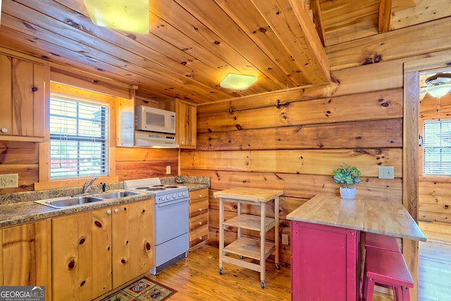 kitchen featuring white appliances, plenty of natural light, sink, and light hardwood / wood-style flooring