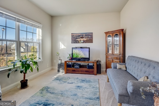 living room featuring light colored carpet